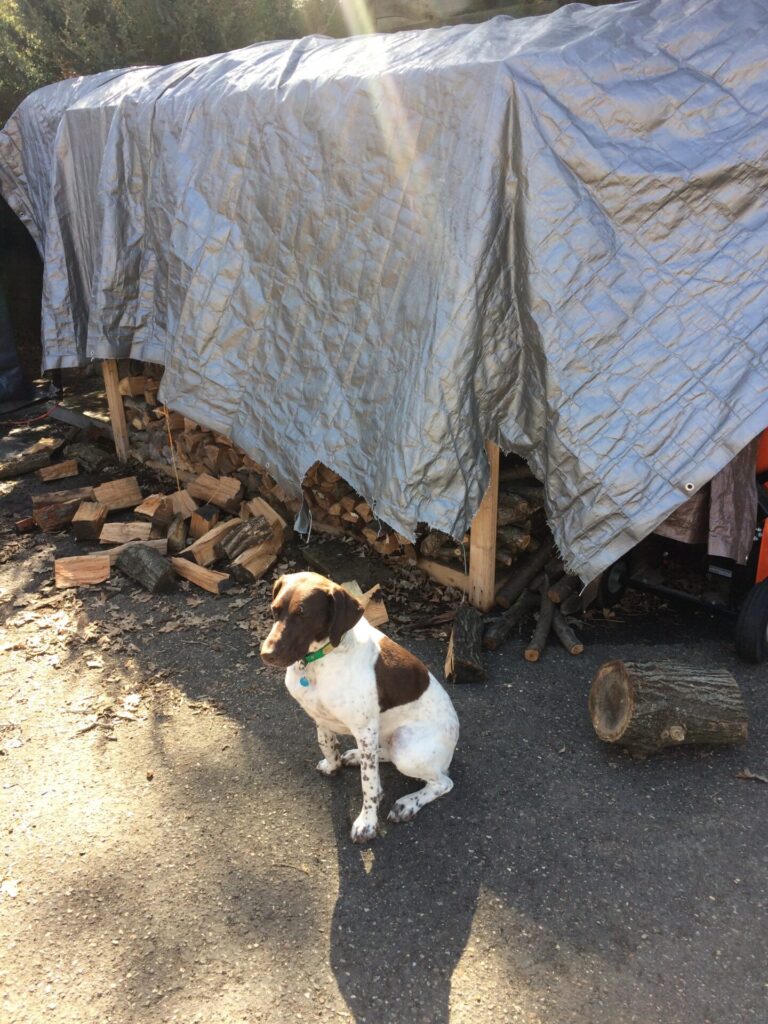 Dog Proof Firewood Storage JMT x 2