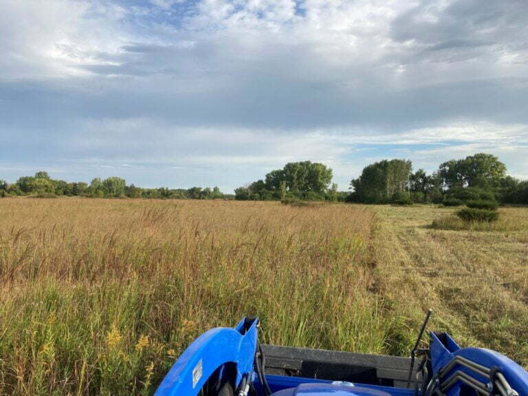 Prairie Mowing