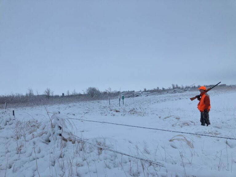 Snow covered landscape.
