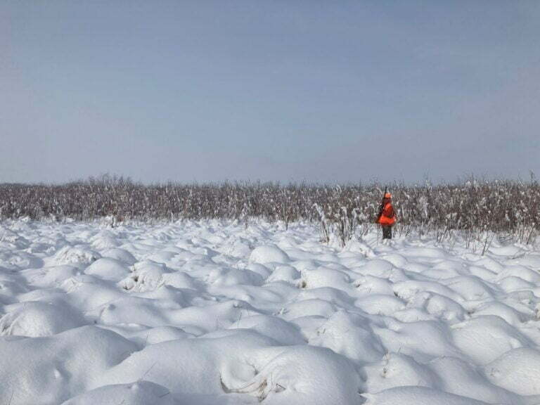 Snow covered landscape