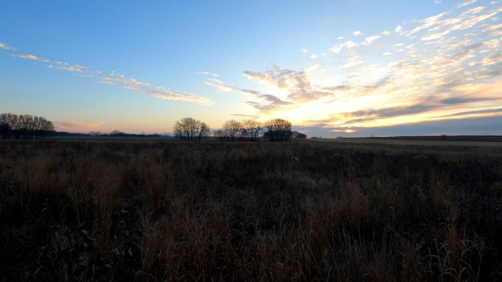 Week 3 Recap - Sunrise