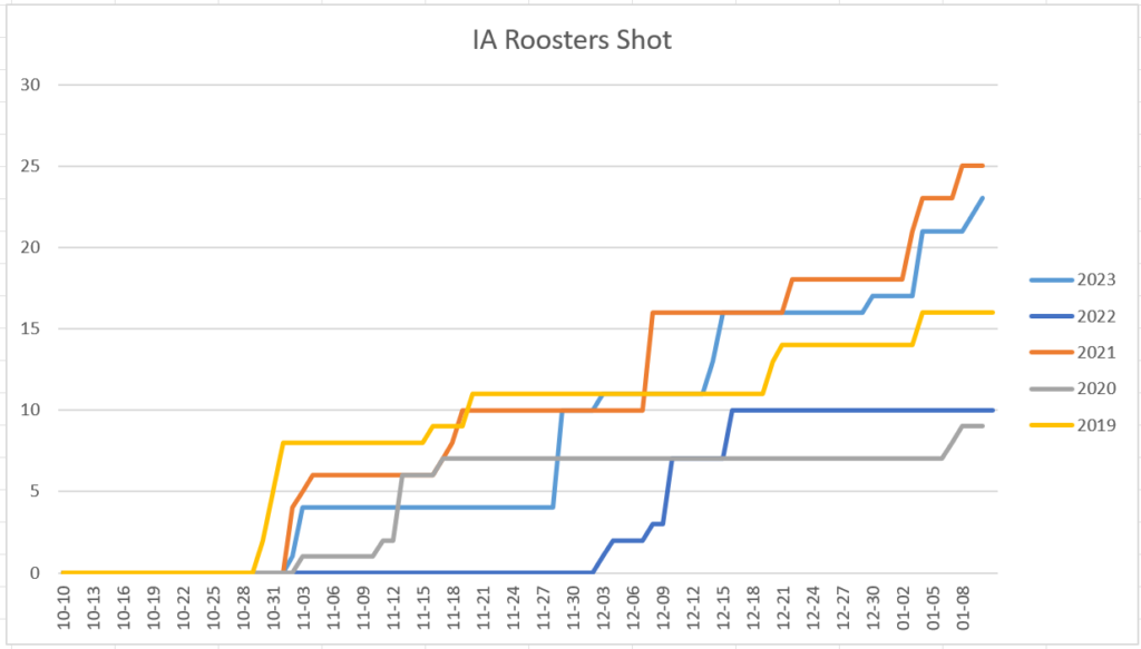 Iowa Roosters Shot