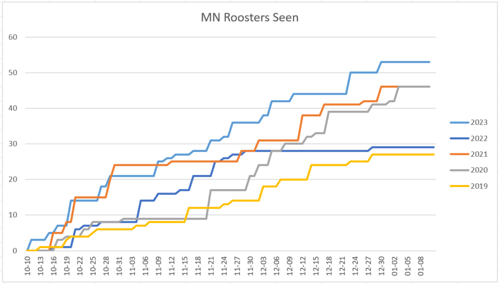 Minnesota Roosters Seen