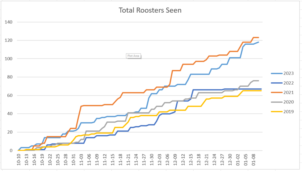 2023 Statistics - Total Roosters Seen