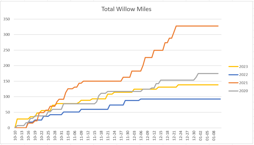 Willow Miles