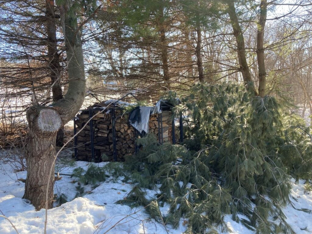 Firewood Storage