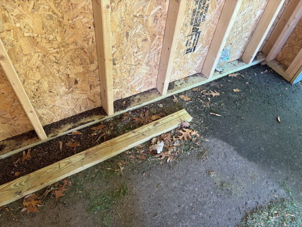 Mouse Debris