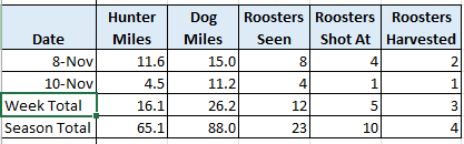 2024 Week 4 Stats