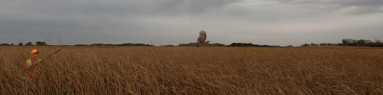 2025 Pheasant Hunting – Week 2