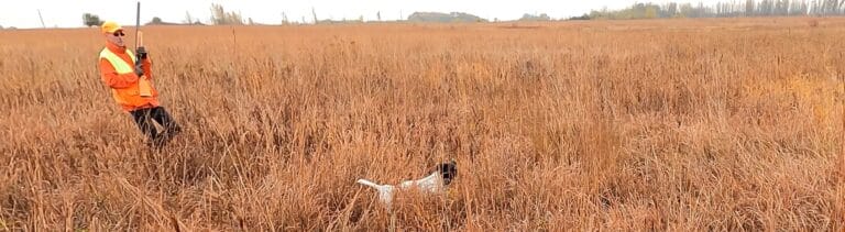 2025 Pheasant Hunting – Week 3 Recap