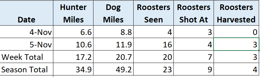 2025 Pheasant Hunting - Week 4 Recap