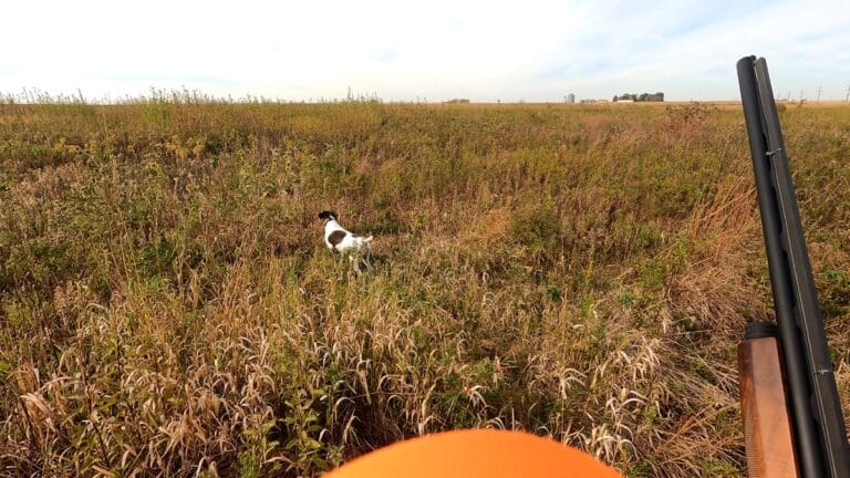 2026 Pheasant Hunting – Week 2