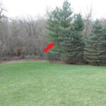 2017 View of the White Pine limb that broke off in March of 2022