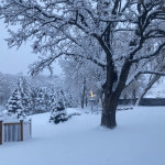 Heavy Snow