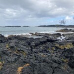 There really was sand beyond the rocks. People were surfing on the small breakers coming into shore. Black sand beach