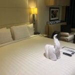 In previous cruises there was be a new animal every night. But the stewards are so busy now that they don't have time to do it. Our stewards did a very good job but they worked their butts off too. Towel Animal