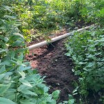 Exposed Drain Pipe