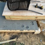 Willow Tracks