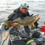Bear with another typical walleye Walleye
