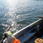 Another smallish pike Pike